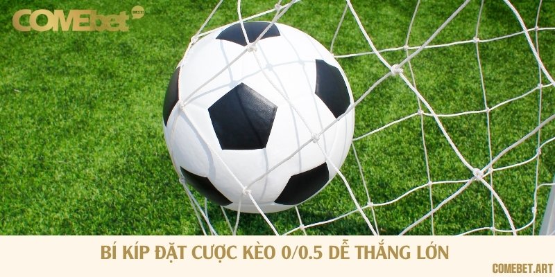 4 chiến lược đơn giản nhưng dễ dàng trúng lớn