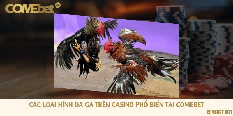Các loại hình đá gà trên casino phổ biến tại Comebet