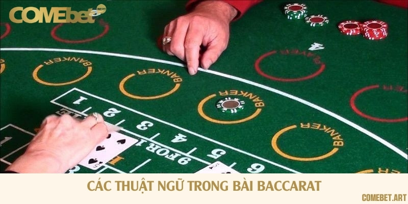 Thuật ngữ thường dùng trong hướng dẫn chơi Baccarat