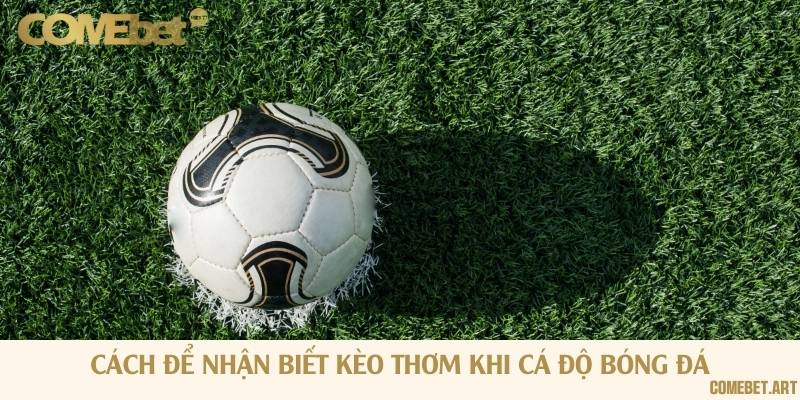 Những dấu hiệu dùng để nhận biết kèo thơm xuất hiện trong bảng tỷ lệ nhà cái