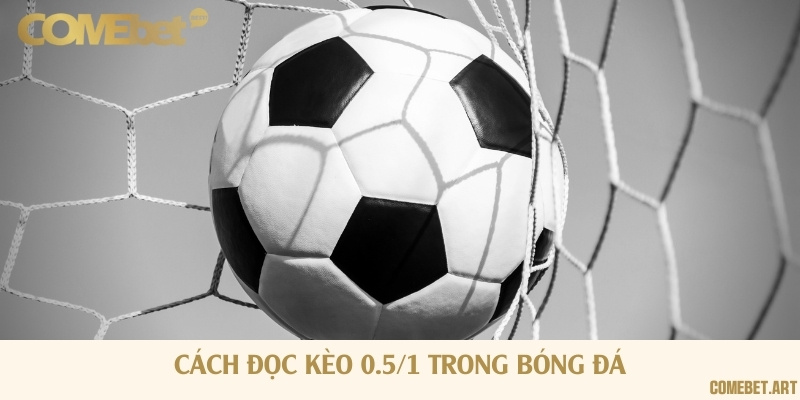 Hướng dẫn đọc kèo 0.5/1 cho một trận đấu cụ thể