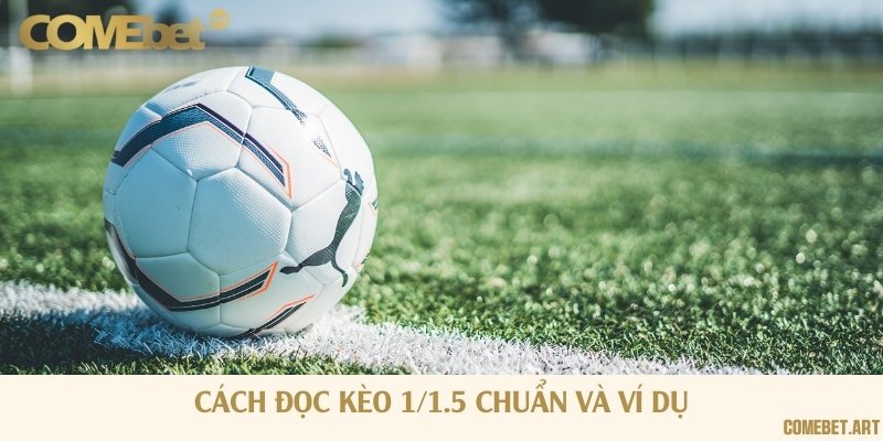 Hướng dẫn cách tính kèo đơn giản nhất cho newbie