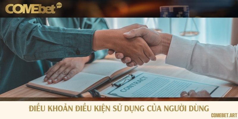 Thông tin về điều khoản sử dụng tất cả các dịch vụ tại nhà cái