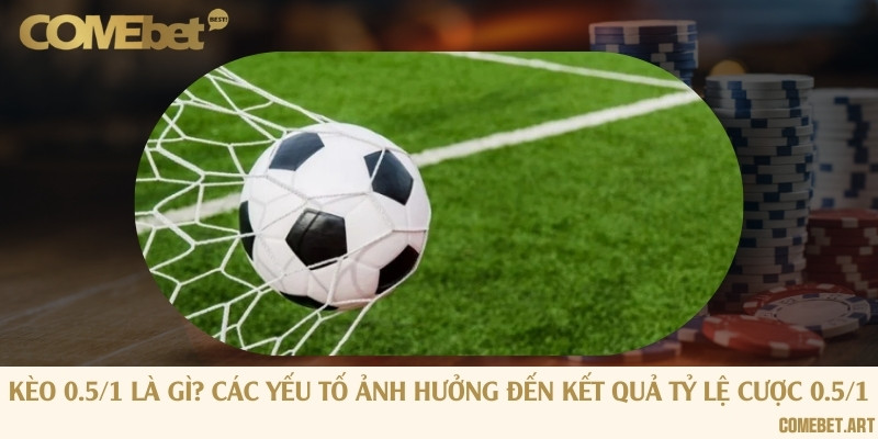 Kèo 0.5/1 là gì? Các yếu tố ảnh hưởng đến kết quả tỷ lệ cược 0.5/1