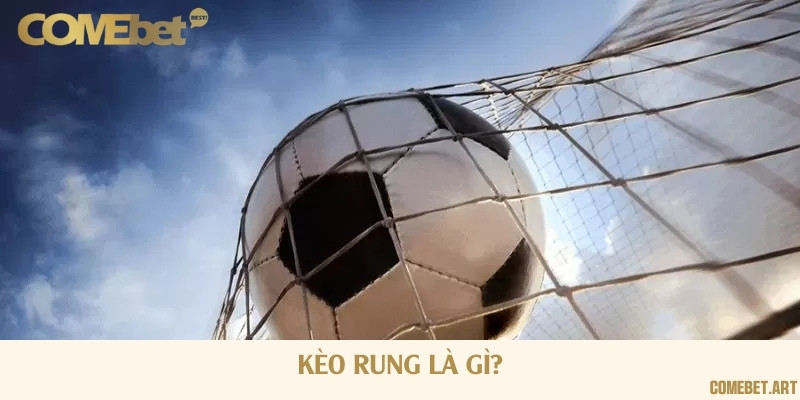 Giới thiệu chung về kèo rung siêu hấp dẫn