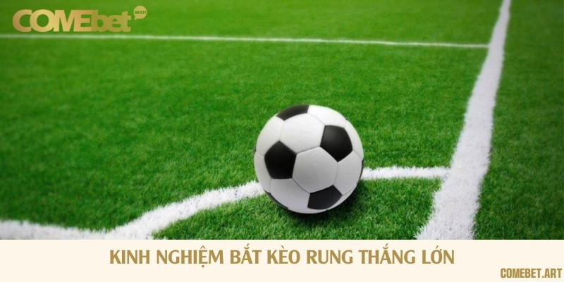 Mẹo đặt cược kèo rung bất bại từ cao thủ