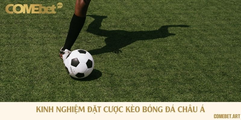 Nắm vững kiến thức cơ bản và áp dụng linh hoạt để chinh phục kèo cược châu Á