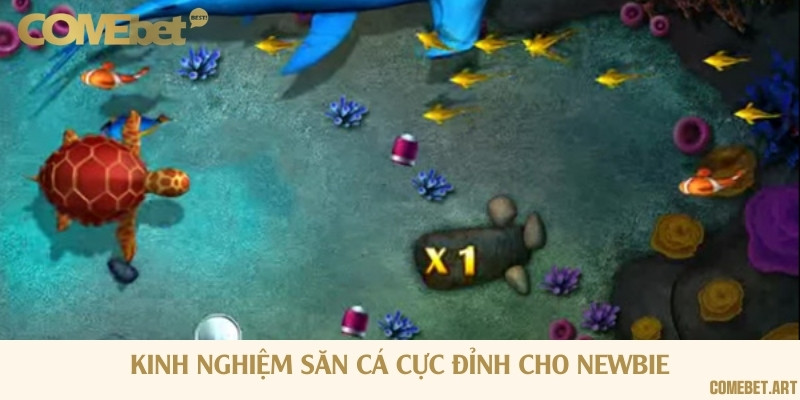 Vài chiến thuật kiếm thưởng siêu hay