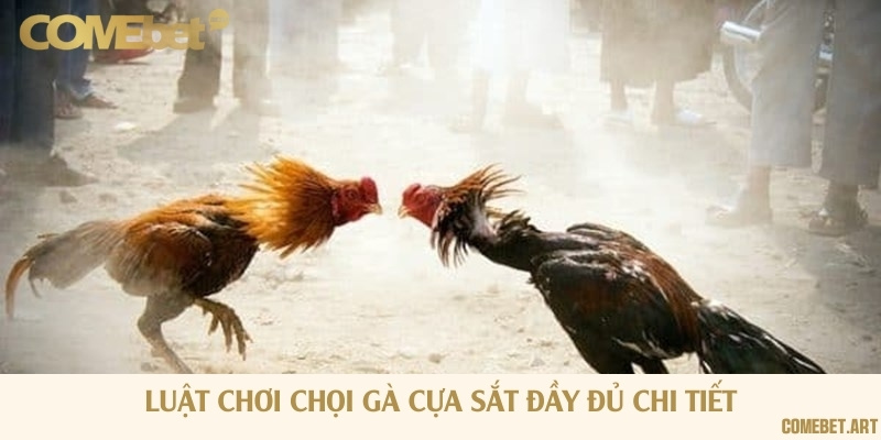 Tham khảo luật chơi chọi gà cựa sắt đầy đủ mới nhất