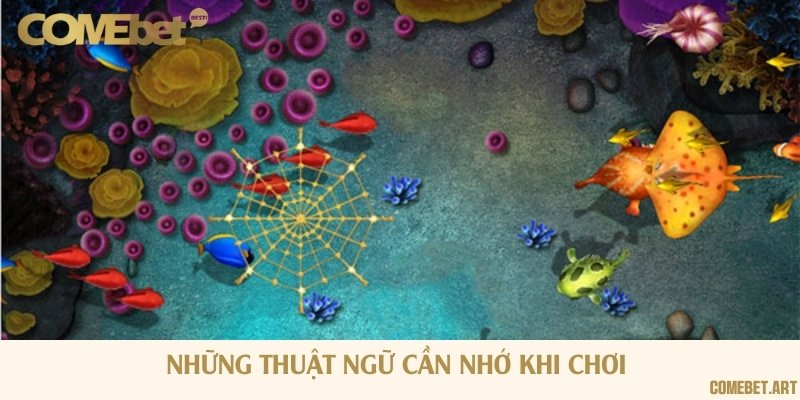 5 thuật ngữ ai cũng phải nhớ khi tham gia bắn cá