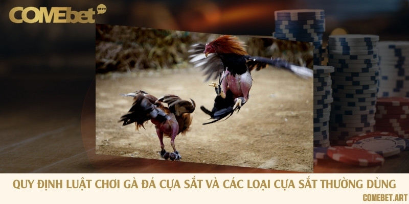 Luật chơi gà đá cựa sắt và các loại cựa sắt thường dùng
