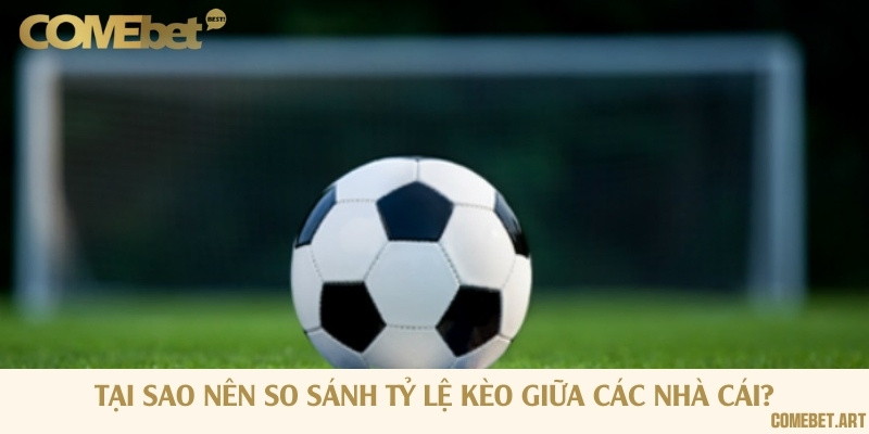 So sánh tỷ lệ cược là cách tốt nhất để né kèo bẫy