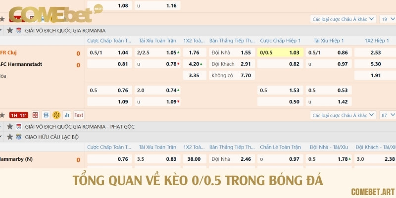 Định nghĩa, cách thức hoạt động và lợi ích kèo 0/0.5